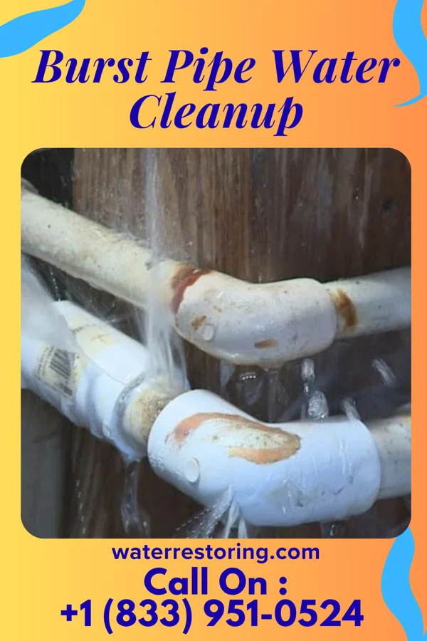 Burst Pipe Water Cleanup in Danville, WV