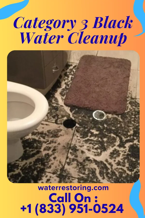 Category 3 Black Water Cleanup in Danville, WV