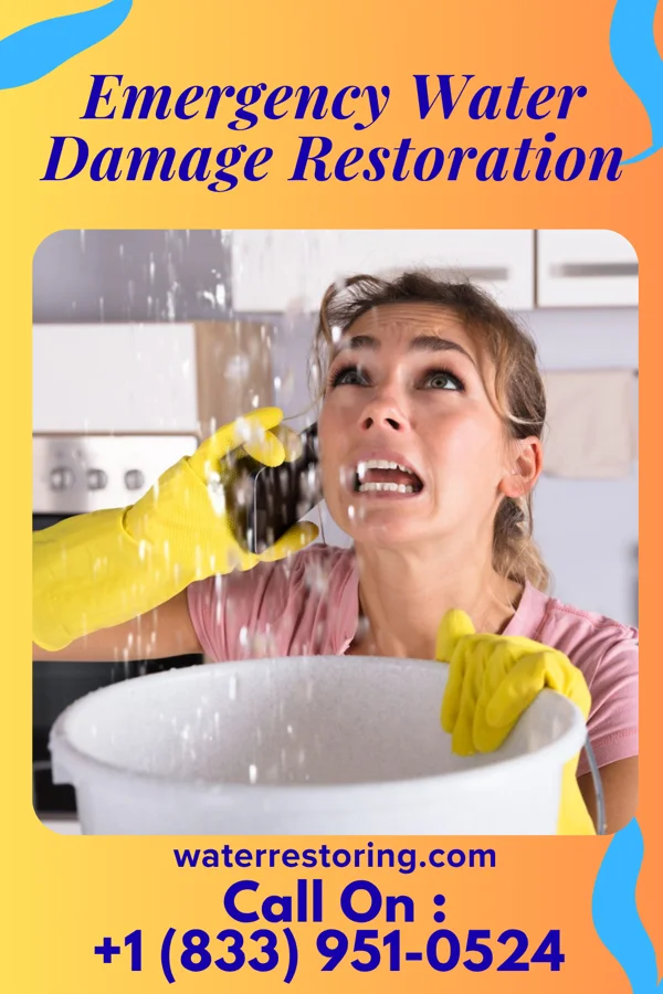 Emergency Water Damage Restoration in Danville, WV