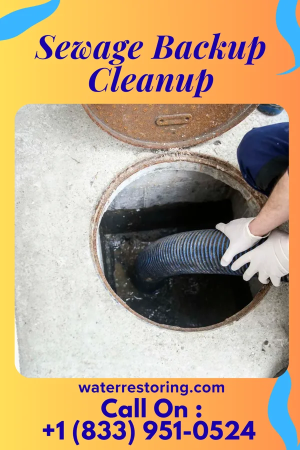 Sewage Backup Cleanup in Danville, WV